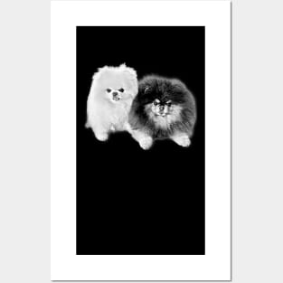 Pomeranian Pencil Art Posters and Art